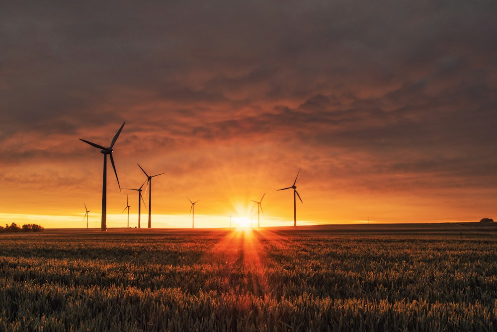 Renewable energy transition wind turbines